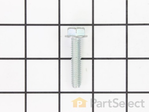 10000366-1-M-Snapper-704318-Screw, Self-Tapping 5/16-18 X 1 1/2