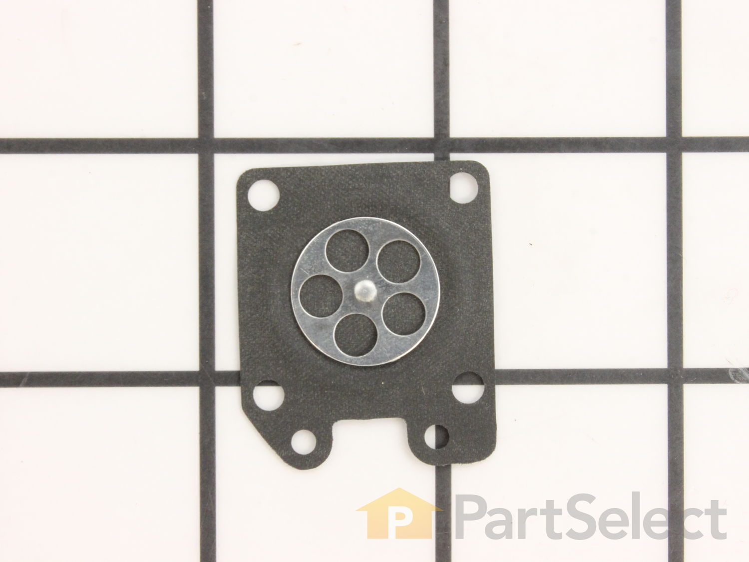 Diaphragm Assembly - Metering 95-526-9-8