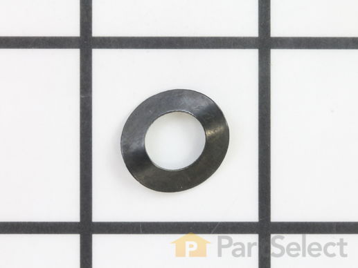 10039725-1-M-Homelite-A100545-Washer, Spring