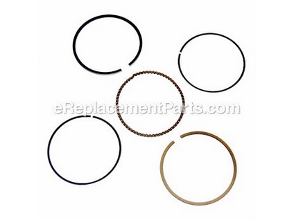 10040018-1-M-Homelite-A100826-Piston Ring Assembly
