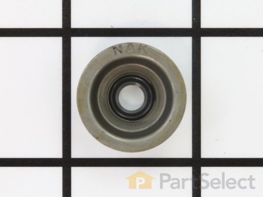 10040651-1-M-Homelite-A200053-Inlet Valve Oil Seal Assembly