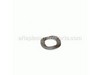 10040655-1-S-Homelite-A200055-Spring Washer