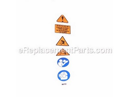 10049938-1-M-Homelite-PS02750-Decal-Warning