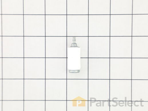 10070118-1-M-Snapper-705513-Fuel Filter Assembly