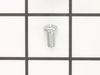 Screw – Part Number: 020106006