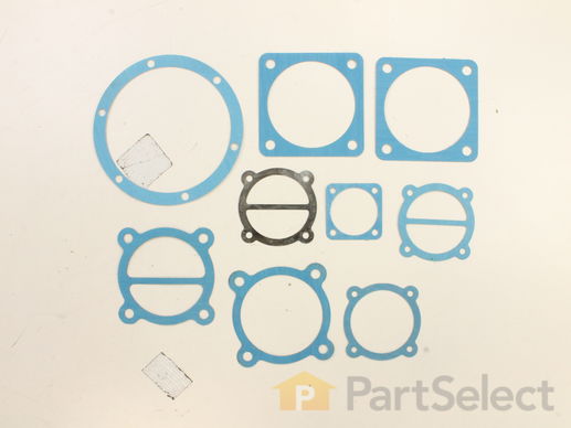 10115083-1-M-Porter Cable-A03945-Gasket Kit