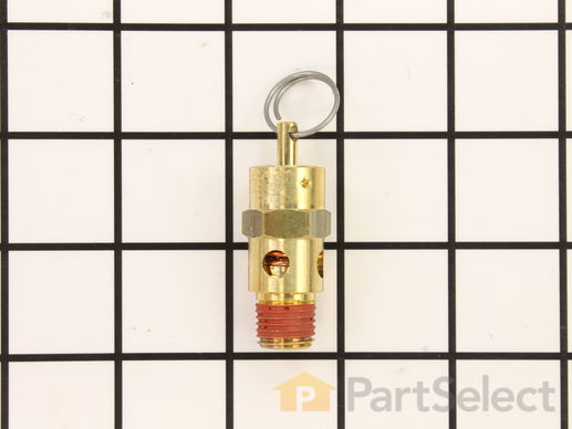 10116660-1-M-Porter Cable-TIA-4200-Valve Safety 200 .25