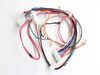 Wiring Harness,controls – Part Number: 134394400