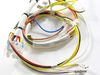 Assembly WIRE HARNESS-COOKTO – Part Number: DG96-00341A