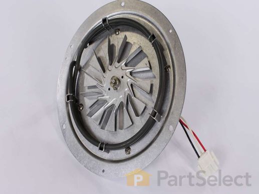11750360-1-M-Whirlpool-WPW10206587-Convection Fan Motor