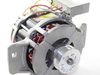 Drive Motor – Part Number: WPW10303798
