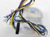11769018-2-S-Whirlpool-W10871222-Wire Harness
