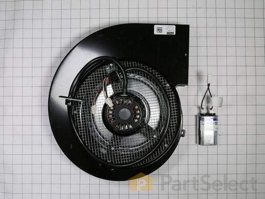 11770168-1-M-Whirlpool-W10921431-Motor Blower