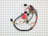 Wiring Harness – Part Number: 725-06041