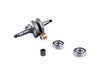 Crankshaft – Part Number: 537156802