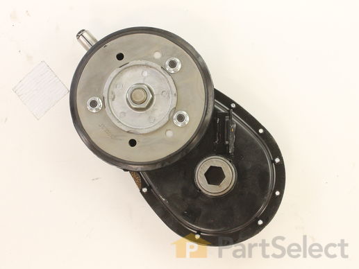 11838165-1-M-Snapper-7051269YP-Assembly, Chain Case