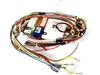 12114444-1-S-Whirlpool-W11126037-Timer and Wire Harness Assembly