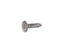 12302278-1-S-GE-WR01X24363- SCR 8- 18 BA OVT 5/8 Stainless Steel