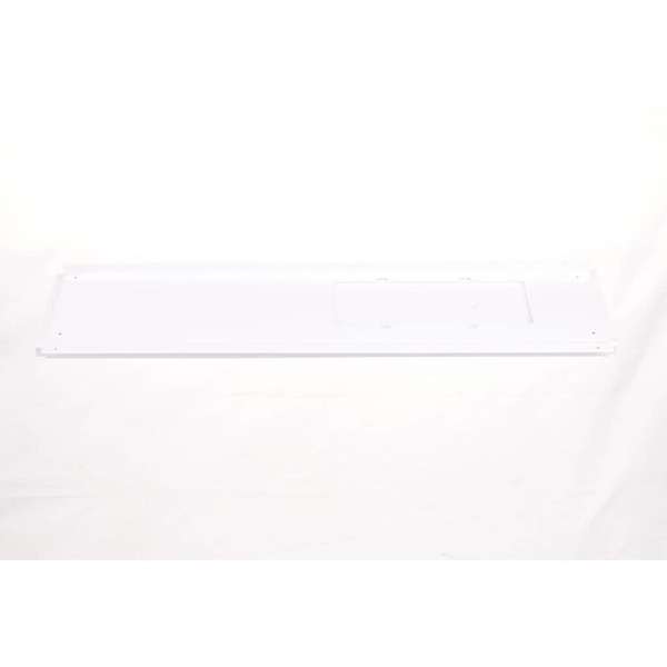 12343866-1-M-GE-WJ43X22919-WINDOW SEAL PLATE