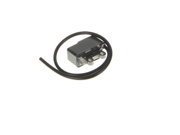 17606247-1-M-Echo-A411001621-Coil, Ignition