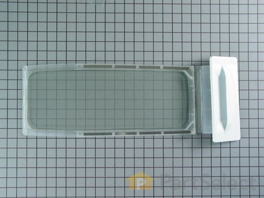 18355774-1-M-Whirlpool-W11778253-LINT SCREEN ASSY, WOD