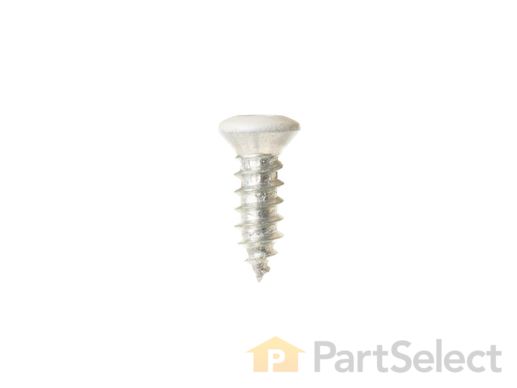 221946-1-M-GE-WB01K10018        -SCREW 8-18 (BISQUE)