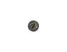 234257-3-S-GE-WB1K5191          -Screw