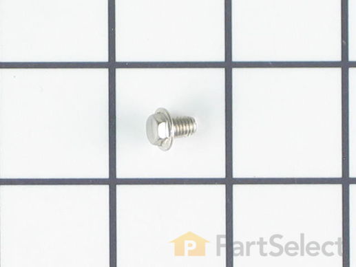Ignitor Mounting Screw – Part Number: WB1X1293