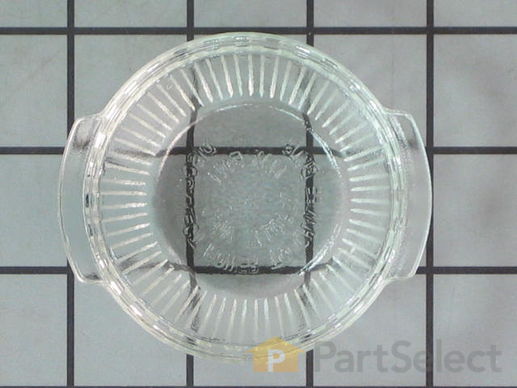 237505-1-M-GE-WB25T10027        -LENS OVEN LAMP