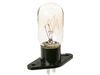 247394-2-S-GE-WB36X10194        -LAMP-INCANDESCENT