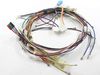 WIRING HARNESS – Part Number: 318384468