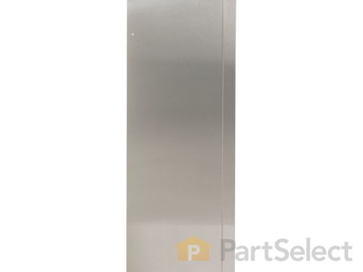 310656-1-M-GE-WR99X10031        - DOOR FF Stainless Steel CLAD