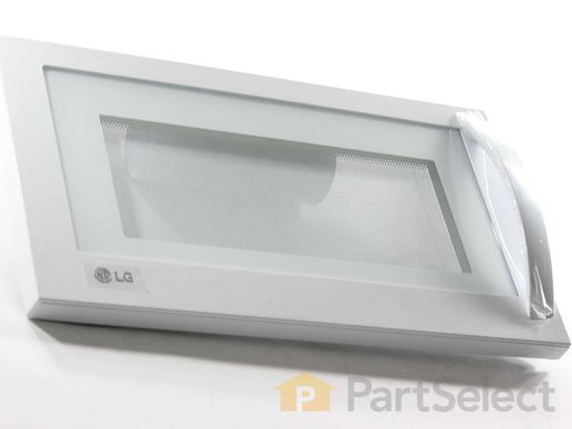 3531405-1-M-LG-ADC49436904-Complete Door Assembly - White