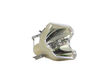 LAMP,MERCURY – Part Number: EAQ43069401