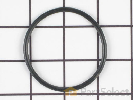 O-Ring - Front – Part Number: 154247001