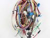Assembly WIRE HARNESS-A;FEN5 – Part Number: DG96-00159A