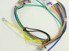 Assembly WIRE HARNESS-COOKTO – Part Number: DG96-00272A