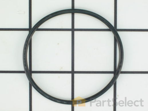 O-ring – Part Number: 218904301