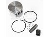 Piston W/Pin – Part Number: 10000019930