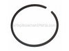 Ring- Piston – Part Number: 10001119830