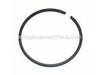 Ring-Piston – Part Number: 10001618430