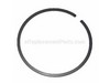 Ring-Piston – Part Number: 10001130831