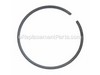 Ring- Piston – Part Number: 10001133730