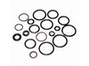 Kit, O-Rings – Part Number: 198847GS