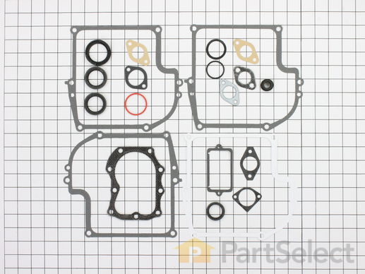 Official Briggs and Stratton 299577 Gasket Set-engine – PartSelect.com
