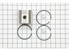 Piston Assembly-std – Part Number: 294676