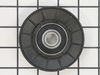 Idler Pulley – Part Number: 420613MA