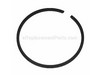Piston Ring – Part Number: 503289019