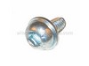 Screw w/Washer – Part Number: 530401467