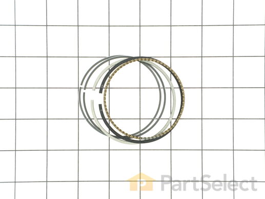 9035698-1-M-Briggs and Stratton-590742-Ring Set